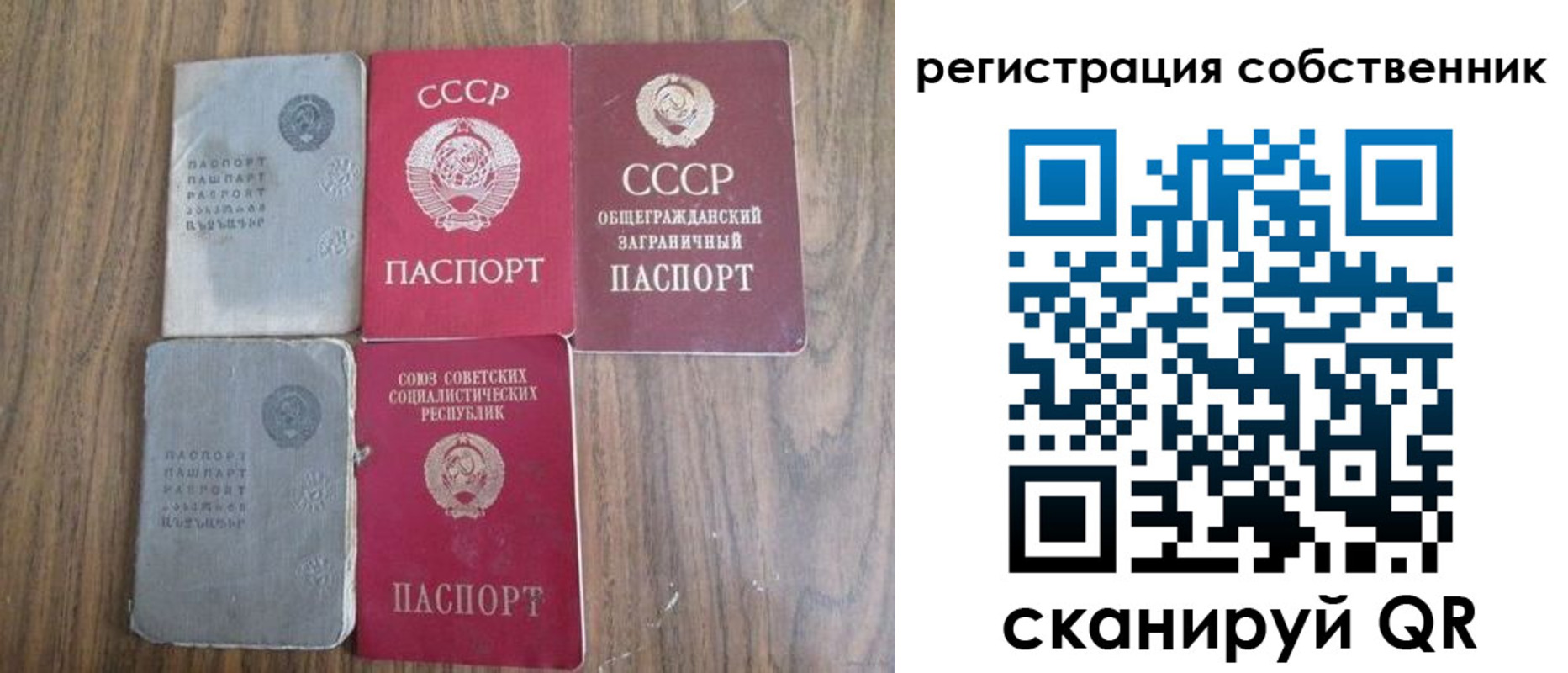 прописка поиск в Борзе